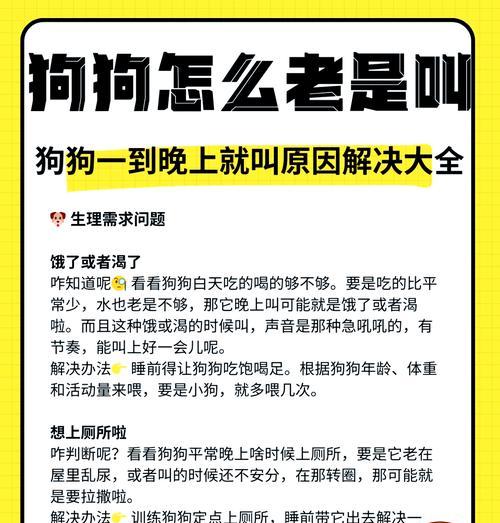 给狗拿粮时候狗一直叫怎么办？如何训练狗狗安静等待？