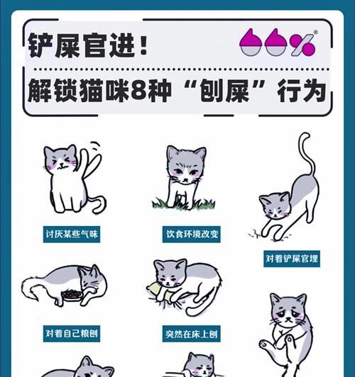 猫咪吃完猫粮后埋屎是什么行为？背后的心理是什么？