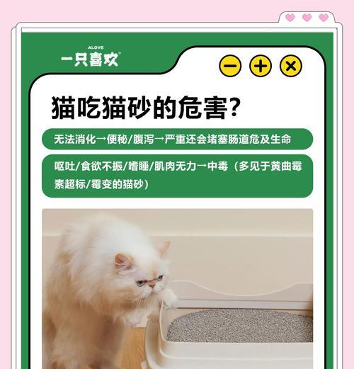 猫咪不吃东西却埋猫砂是为什么？