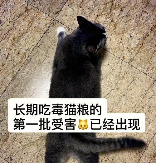 猫吃毒猫粮中毒了会怎么样？如何急救？