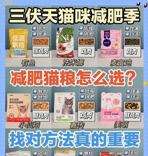 猫咪减肥应选择哪种猫粮？有哪些低热量猫粮推荐？