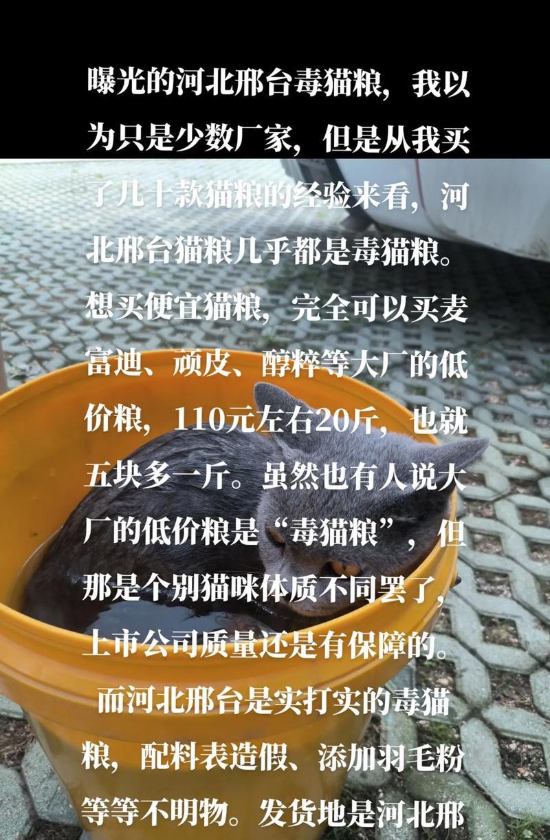 河北邢台猫粮假货为何泛滥？如何辨别真假猫粮？