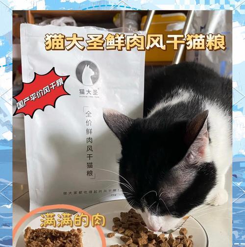 猫大圣适合混哪种猫粮？如何为猫大圣挑选美味又健康的猫粮？