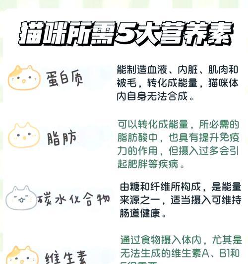 如何为小猫咪挑选合适的猫粮品牌？