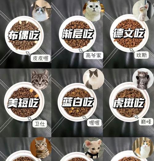 德文猫吃什么猫粮可以减少泪痕？推荐品牌有哪些？