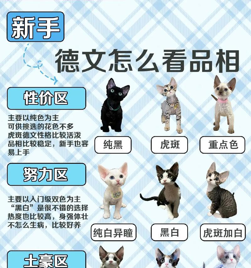德文猫吃什么猫粮可以减少泪痕？推荐品牌有哪些？
