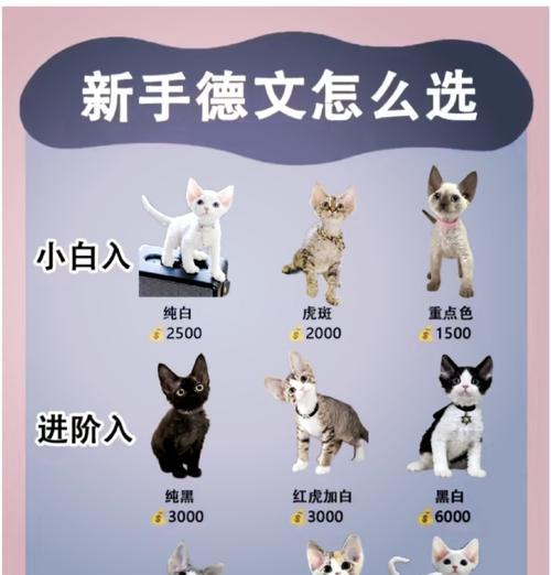 德文猫吃什么猫粮可以减少泪痕？推荐品牌有哪些？