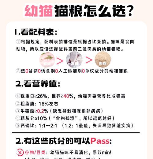 幼猫应该选择哪种猫粮？购买时应注意什么？