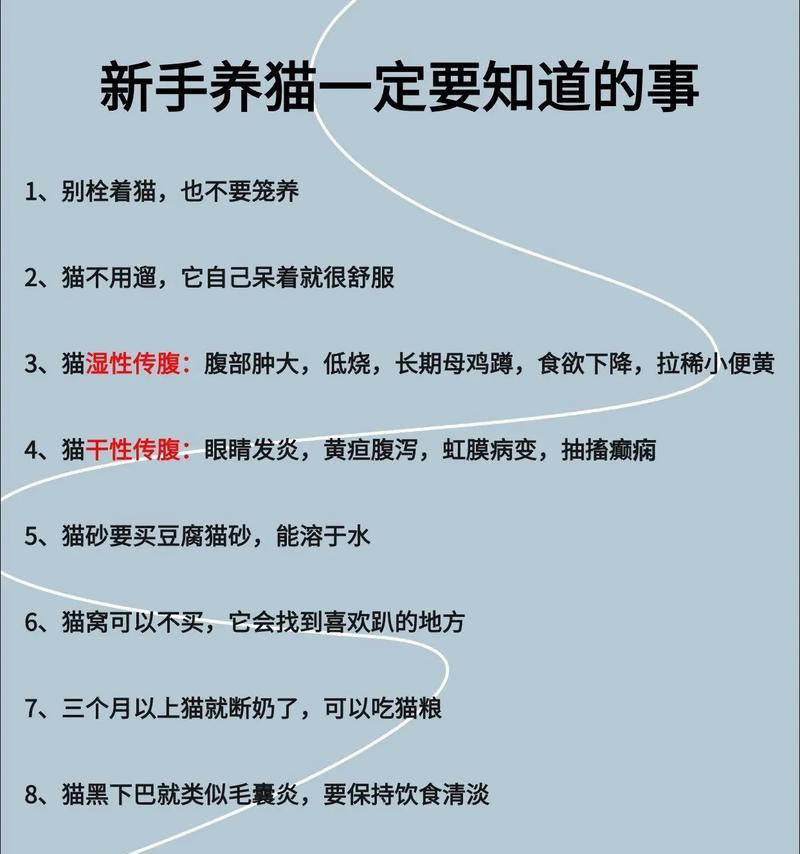 猫传腹不吃猫粮不拉屎怎么办？如何刺激猫咪的食欲？