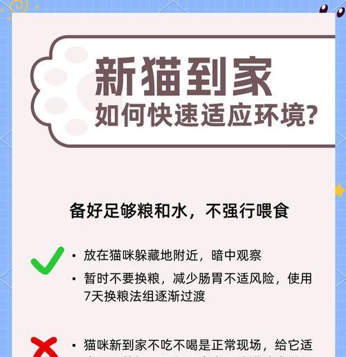 新猫到家不吃猫粮怎么办？如何引导？