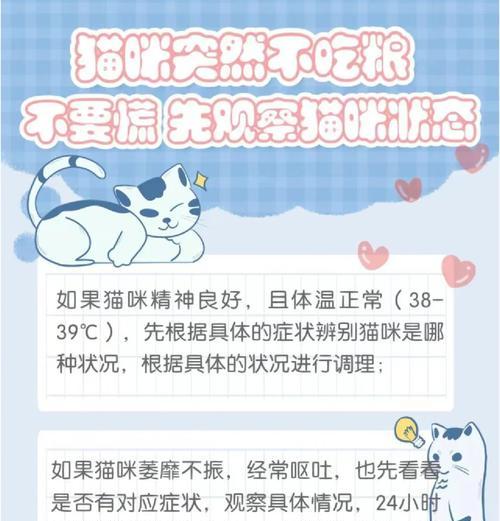 新猫到家不吃猫粮怎么办？如何引导？