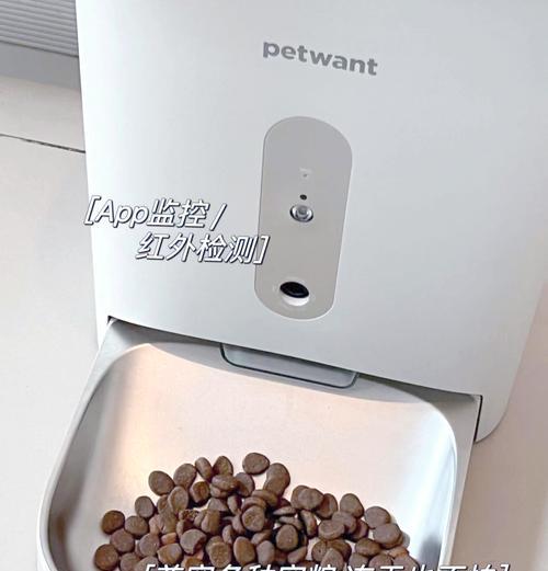 美国猫咪偷食猫粮后应如何处理？