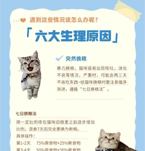 猫咪突然不吃猫粮的原因是什么？