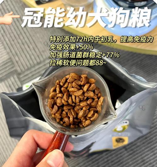7个月柯基一天应该吃几顿狗粮？正常食量是多少？