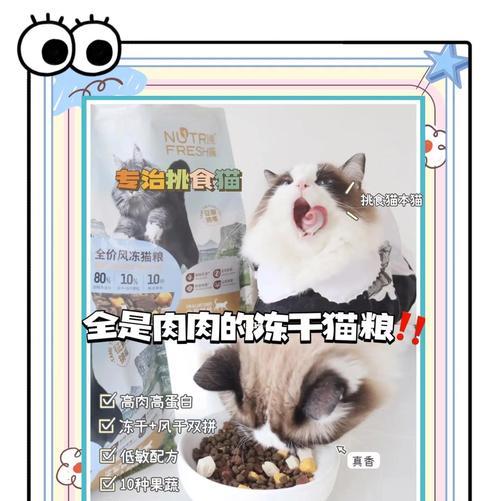 猫粮中的冻干对猫咪健康有何影响？必须添加吗？