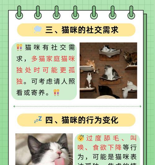 猫咪闻猫粮后离开的可能原因是什么？