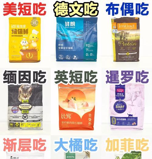 软猫粮和湿猫粮的区别是什么？如何根据猫咪需求选择？