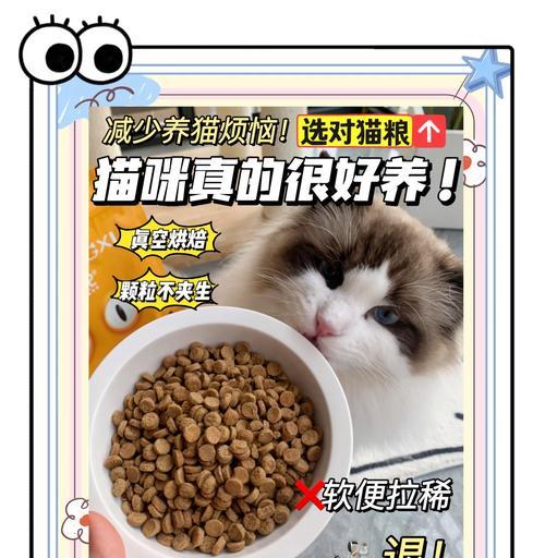 猫粮软了怎么办？肉粒拌猫粮如何处理？