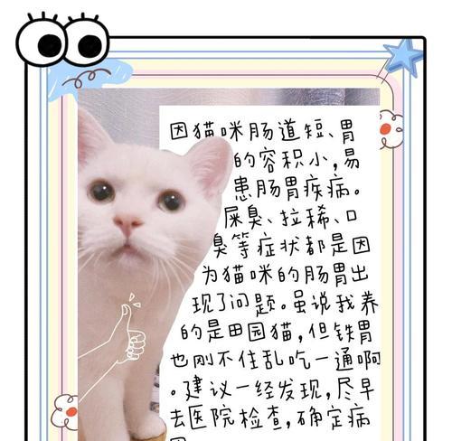为什么吃猫粮会导致屎多？这种情况是否正常？