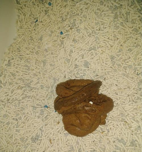 为什么吃猫粮会导致屎多？这种情况是否正常？