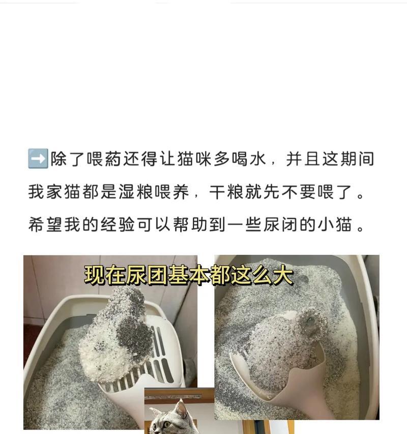 湿粮猫粮尿闭了怎么办？湿粮导致尿闭的解决方法是什么？