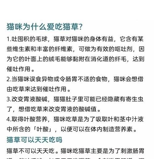 小猫为何爱吃草不吃猫粮？猫粮与草的营养对比是什么？