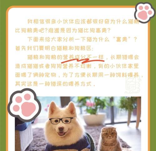 小猫为何爱吃草不吃猫粮？猫粮与草的营养对比是什么？