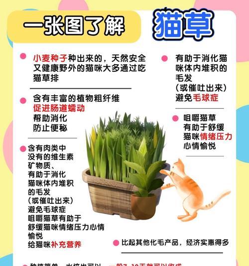 小猫为何爱吃草不吃猫粮？猫粮与草的营养对比是什么？