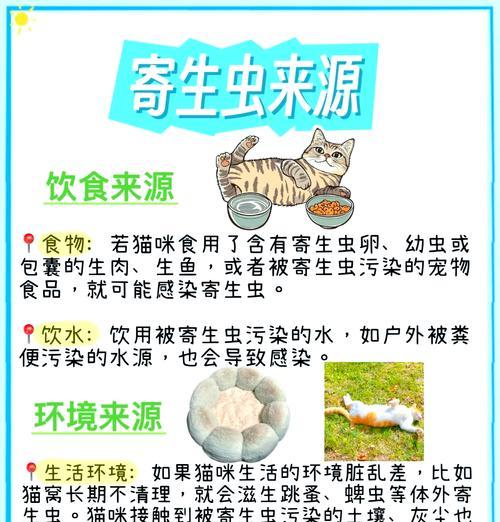 猫粮盆出现虫子怎么处理？如何预防虫子进入猫粮盆？