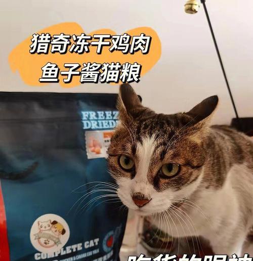 为什么猫粮没有防腐剂？猫咪吃熟鸡胸肉比猫粮好吗为什么？