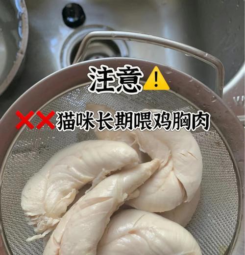 为什么猫粮没有防腐剂？猫咪吃熟鸡胸肉比猫粮好吗为什么？