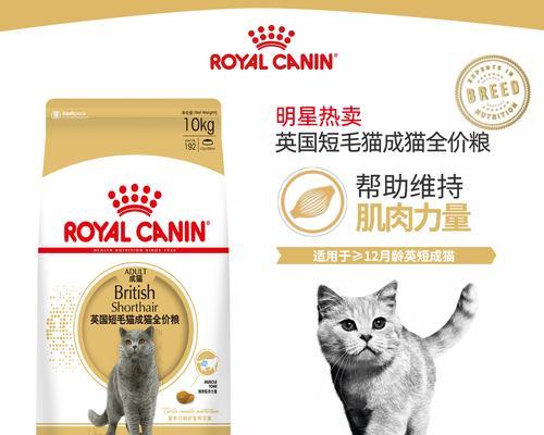 英国市场有哪些受欢迎的猫粮品牌？