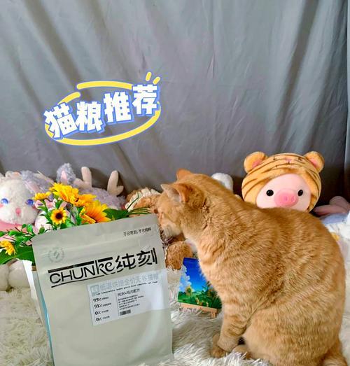 纯刻猫粮适合小奶猫吗？
