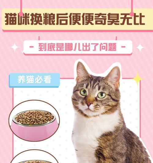 猫粮吸收好为何会导致猫咪排便臭？