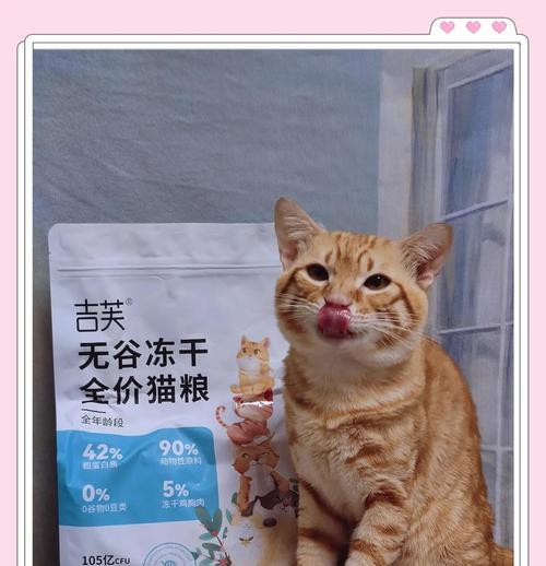 橘猫的猫粮总是被抢怎么回事？如何解决猫粮争夺问题？