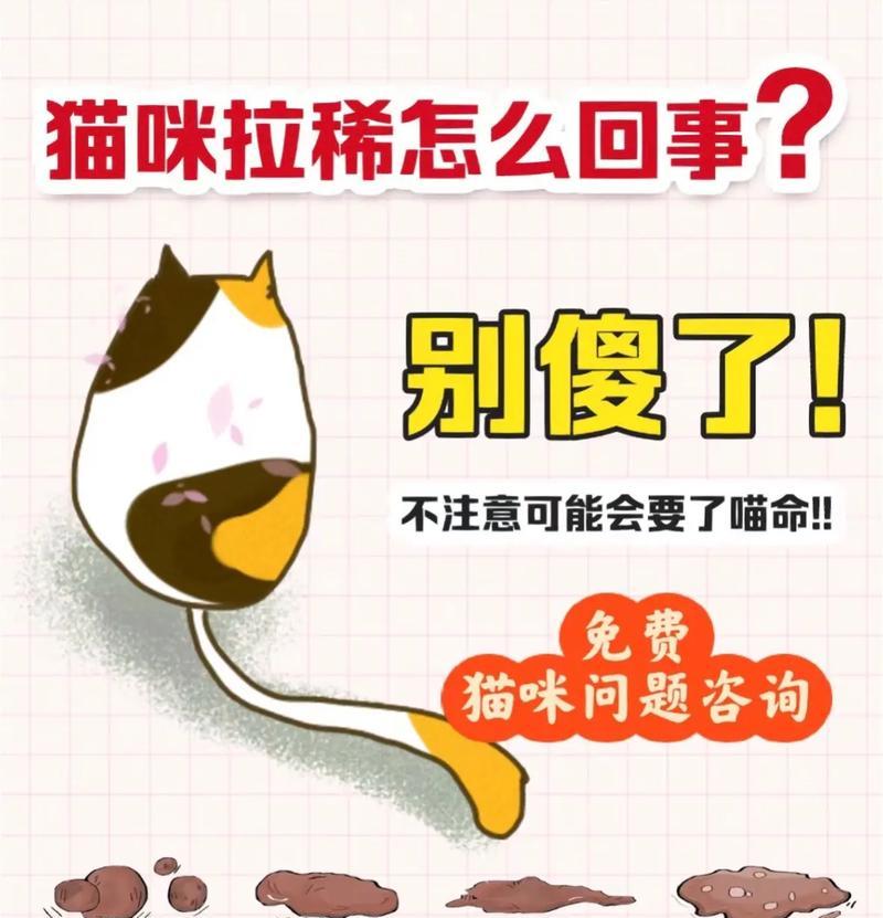 猫咪拉稀后还一直想吃猫粮是为什么？应该怎么办？