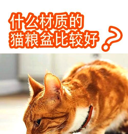 猫盆放满猫粮会导致猫咪挑食吗？