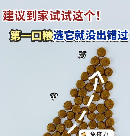 猫粮咬起来有沙粒感是怎么回事？如何选择合适的猫粮？