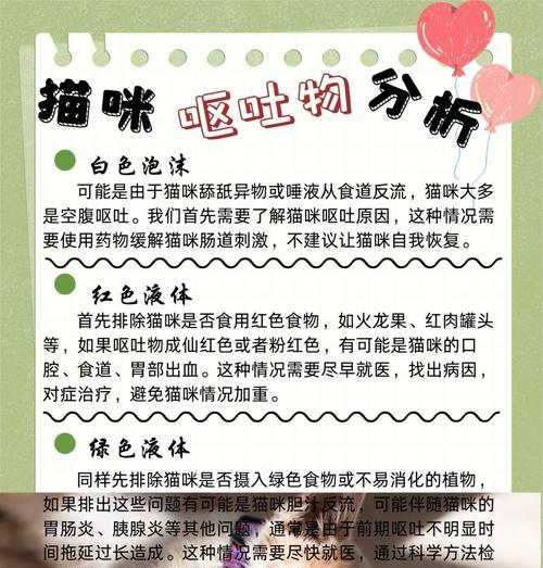 猫吃完草后呕吐？如何处理猫粮引起的不适？