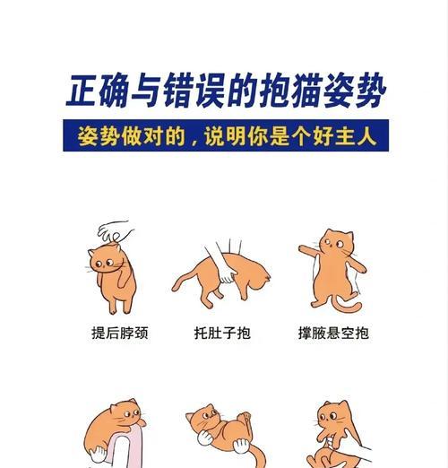 吃猫粮抱着主人怎么办啊？如何处理这种行为？