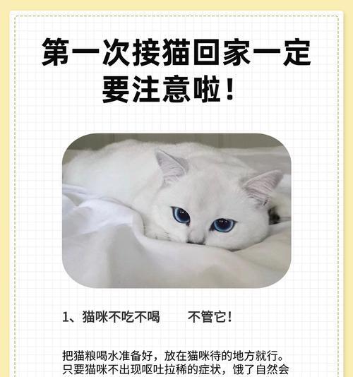 新接回家的猫如何适应猫粮？