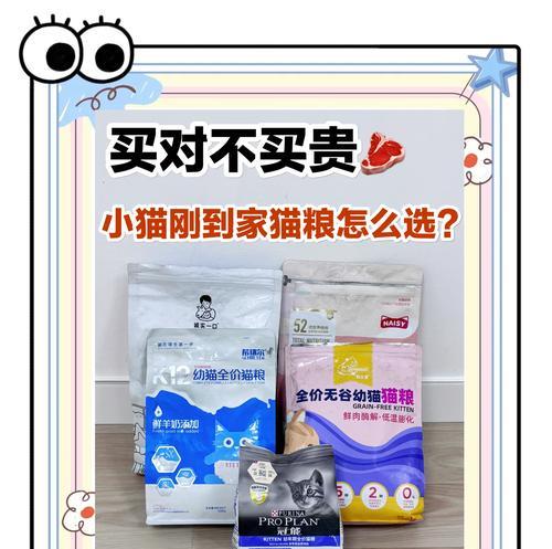 新接回家的猫如何适应猫粮？