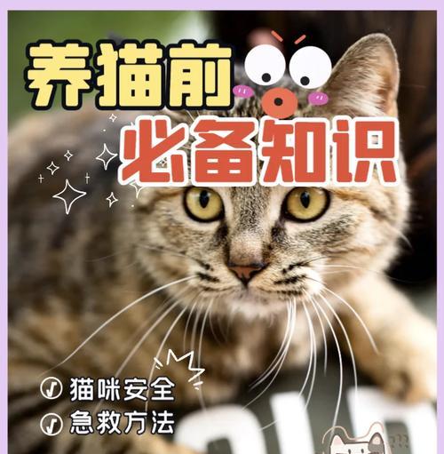 猫咪大口吞食猫粮噎住的急救措施是什么？