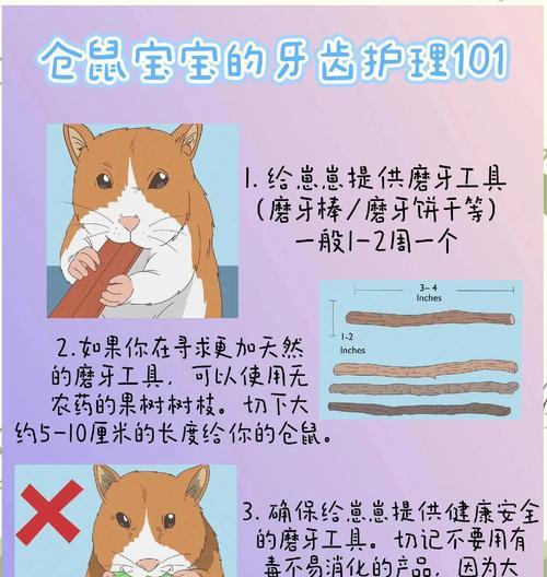 猫粮能给仓鼠磨牙吗？猫粮对仓鼠牙齿健康的影响是什么？