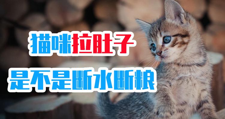 猫咪断粮一天会导致拉稀吗？