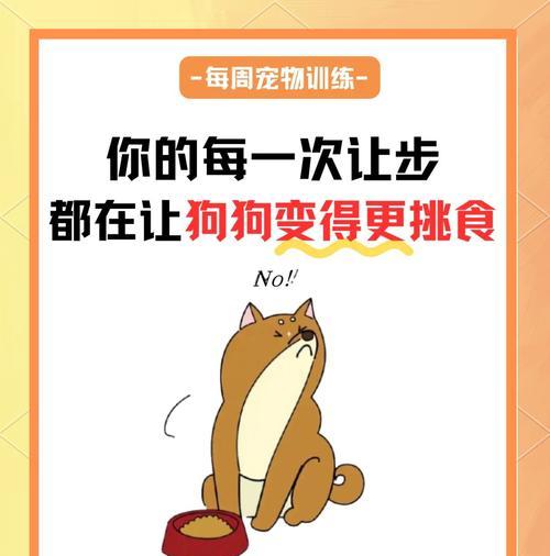 怎么让泰迪吃狗粮？泰迪犬挑食怎么办？