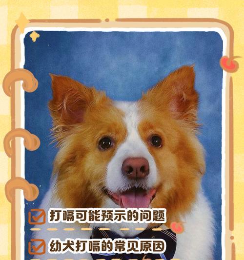 狗狗打嗝，这是为什么（探究狗狗打嗝的原因及应对方法）