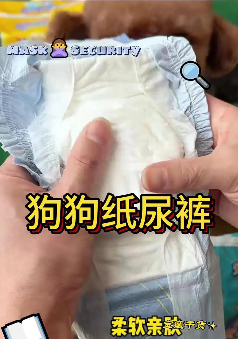 如何顺利带宠物狗回老家（从准备到出行）