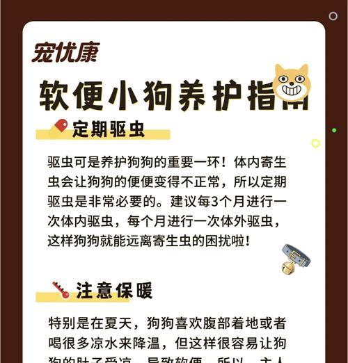 如何防止宠物狗吃臭垃圾（从饮食、训练到家庭环境）