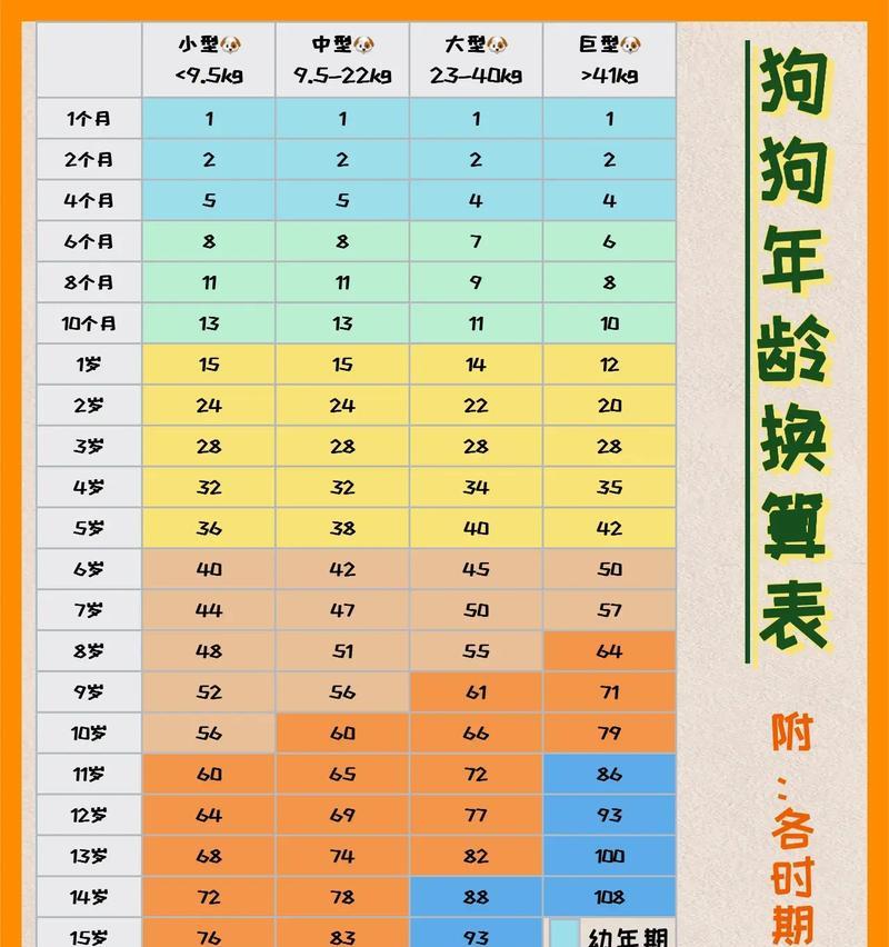 狗的体温应该是多少度（了解狗的正常体温）